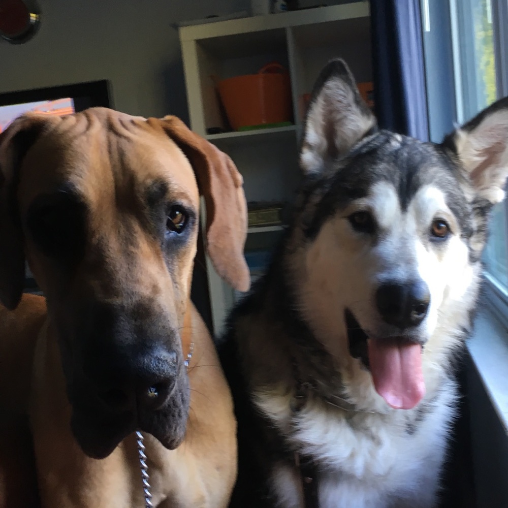 Meet your Posher, Anya